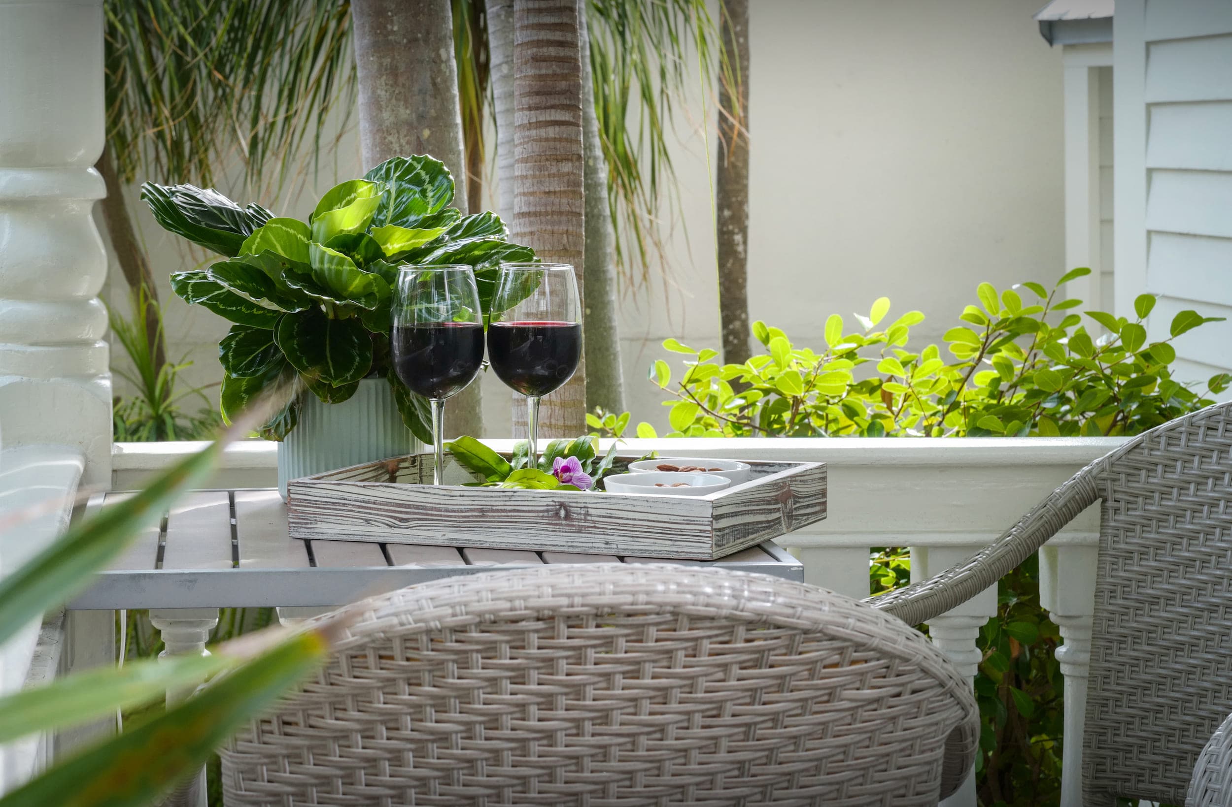 WINE VIGNETTE