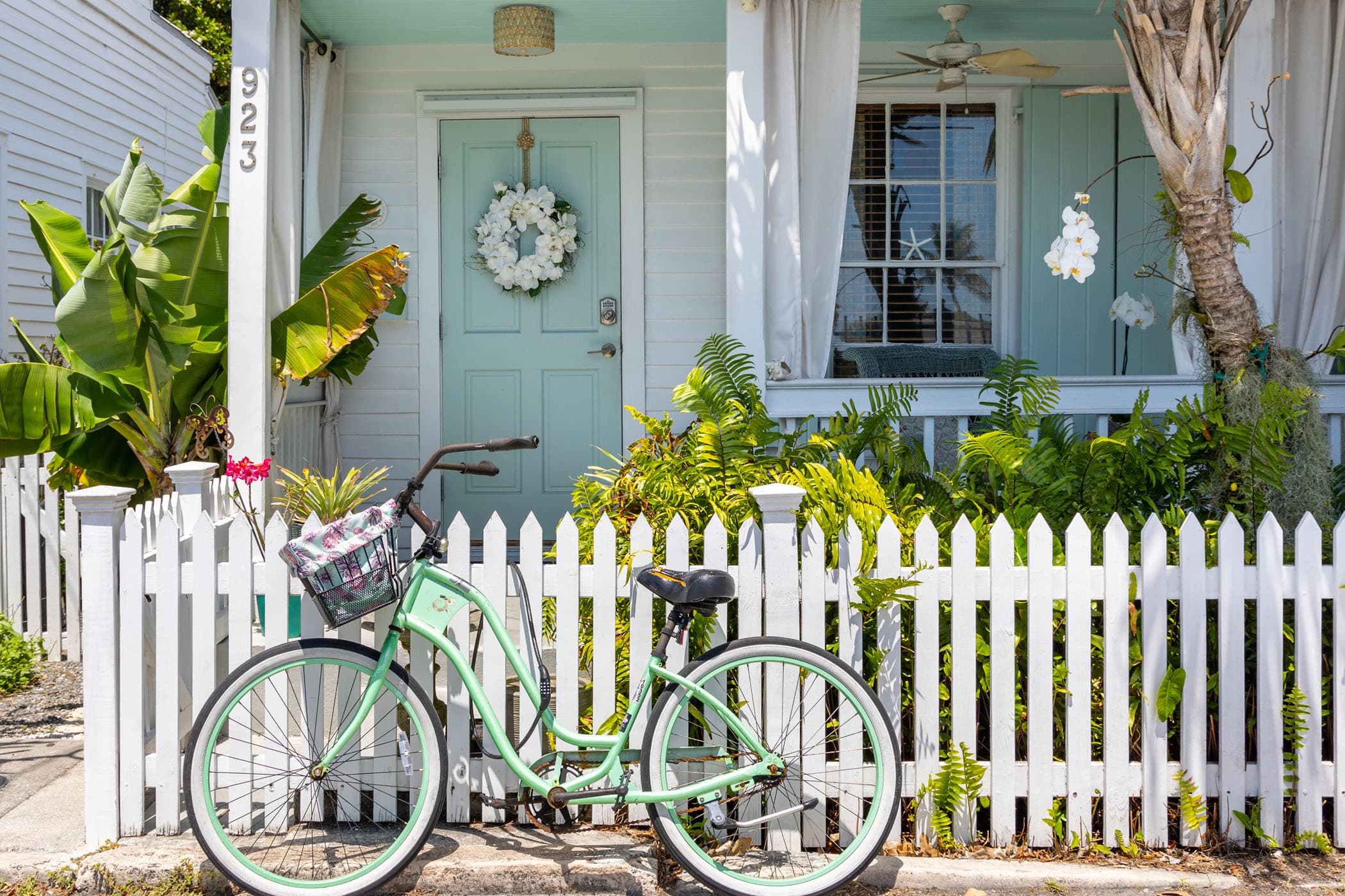 Bike & Basket