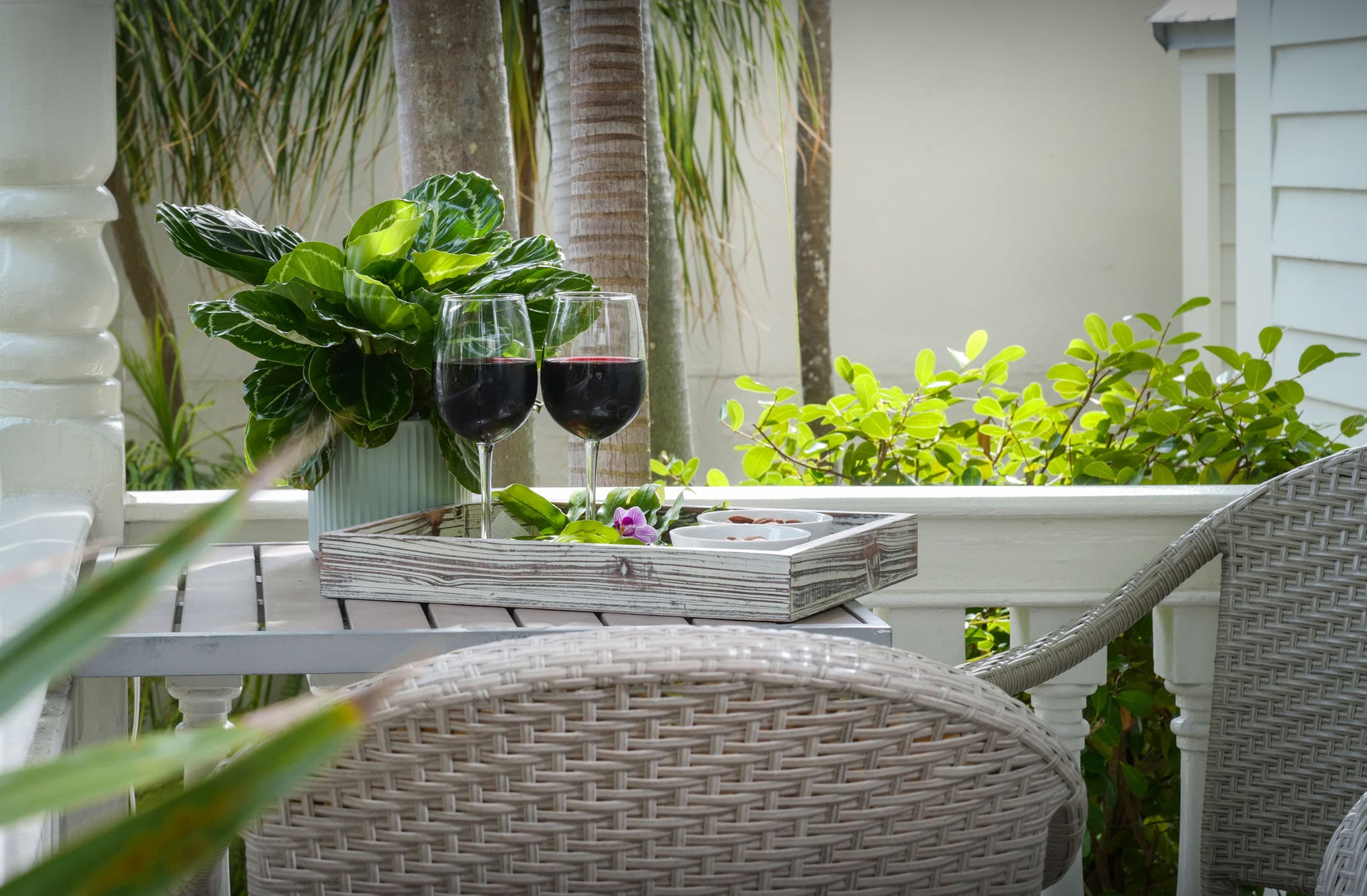 WINE VIGNETTE